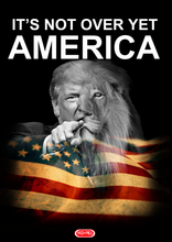 Load image into Gallery viewer, MAGA 2